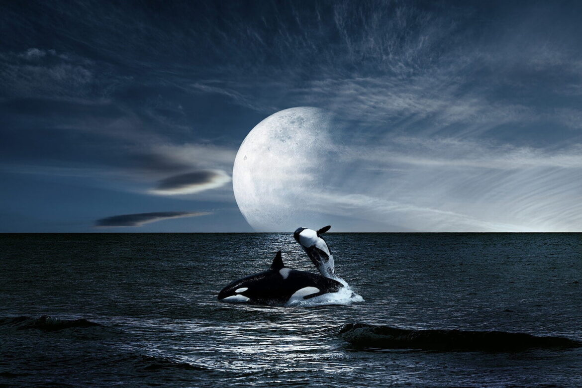 Cách làm 6 câu hỏi trong đề thi Flyers - Đọc và Viết Phần 3